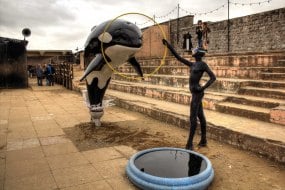 PUBLIC ART UK Videographers Profile 1
