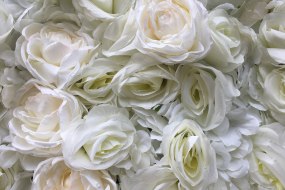Bloom & Co Flower Wall Hire Profile 1