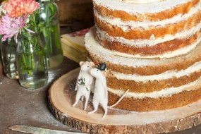 Fancy Pants Magic Mirror Wedding Photographers Profile 1