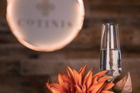 Cotinis - Coffee and Prosecco Mobile Wine Bar hire Profile 1