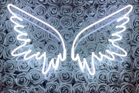 Missy Grey Events Flower Wall Hire Profile 1