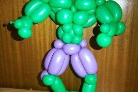 Magic Paul Balloon Modellers Profile 1