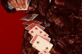 Merlin Magicians Profile 1