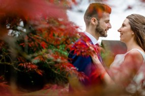 David Cullimore Photography Wedding Photographers Profile 1