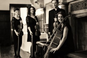 Complete Music Solutions String Quartet Hire Profile 1