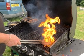 Tasty bbq Bands and DJs Profile 1