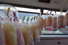 Dotty’s Sweets Candy Floss Machine Hire Profile 1