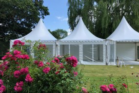 Petworth Marquee Hire Marquee and Tent Hire Profile 1