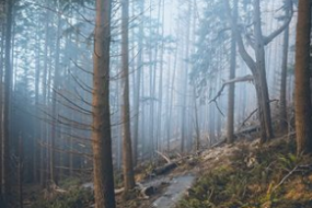 Chris Lewtas Photography Photographers Profile 1