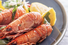 Wined&Dined Healthy Catering Profile 1