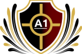 A1 Executive Limousine Hire Profile 1