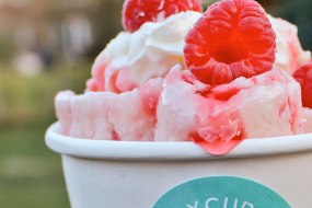 Icy Curls Vegan Catering Profile 1