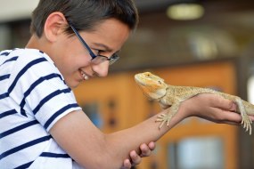 Zoolab UK Ltd Animal Parties Profile 1