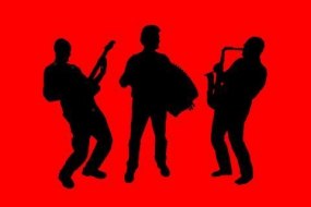Climax Ceilidh Band Bands and DJs Profile 1