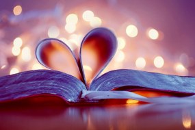 Amore Ceremonies Wedding Celebrant Hire Profile 1