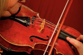 Haysden Strings, Quartet, Trio, Duo Classical Musician Hire Profile 1