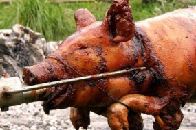 Spit Roast Doncaster Mobile Caterers Profile 1