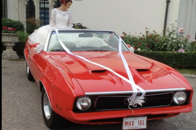 Zax Special Occasion Cars Wedding Car Hire Profile 1