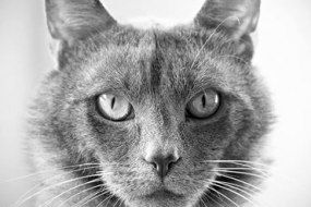 Savage Images Photographers Profile 1