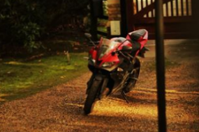 David Mizen - Photographer Photographers Profile 1