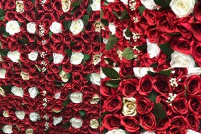 Perfect Day Celebrations Party Equipment Hire Profile 1