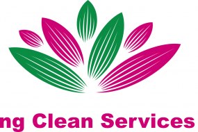Spring clean services ltd Staff Hire Profile 1