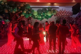 Sheer Elegance balloon artistry and event decor Bands and DJs Profile 1