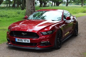 Shabang Car Hire Wedding Car Hire Profile 1