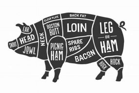 VIPig American Catering Profile 1