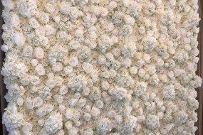 Our amazing quality ivory 3d flowerwall