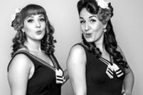 Dixiebird Records 60s Cover Bands Profile 1