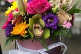 Primrose Florist Ballon Decoration Hire Profile 1