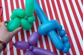 Imagining Events Balloon Modellers Profile 1
