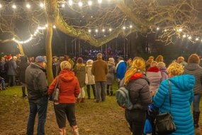 Outdoor Festoon