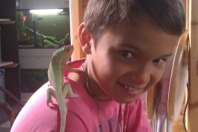 Snakes Alive Limited Children's Entertainers Profile 1