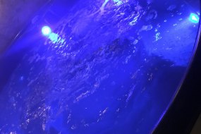 Bristol Hot Tub Hire Lighting Hire Profile 1