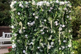 Floral Events Liverpool  Flower Wall Hire Profile 1