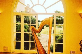 UK Harpists  Harpist Hire Profile 1