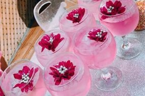Panache Project Mobile Gin Bar Hire Profile 1