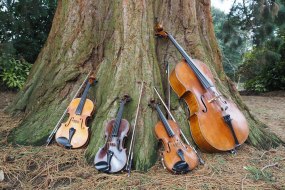 All Things Strings Classical Musician Hire Profile 1