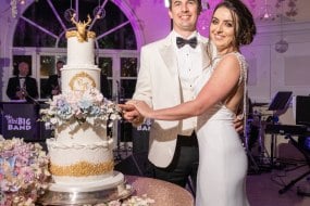 The Village Green Events Co. Stage Lighting Hire Profile 1