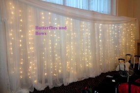 Butterflies and Bows Backdrop Hire Profile 1