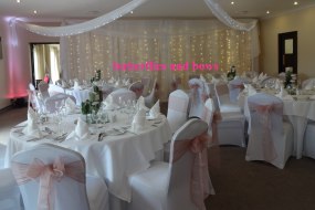 Butterflies and Bows Chair Cover Hire Profile 1