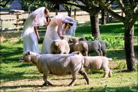 Visionaire Photographic Wedding Photographers Profile 1