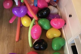 Jade Funtastic Faces Balloon Modellers Profile 1