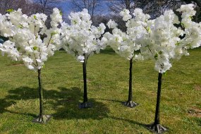 Sophie Menjou Event Hire and More Event Prop Hire Profile 1