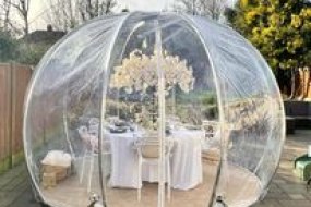 Wild Dreams Events Igloo Dome Hire Profile 1