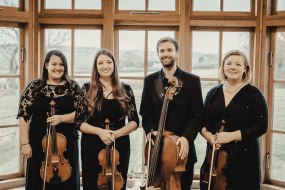 Vyne String Quartet Classical Musician Hire Profile 1