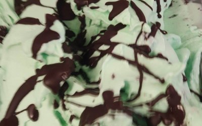Is it the mint or the choc chip that you love?