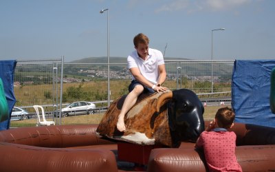 Rodeo Bull hire wales